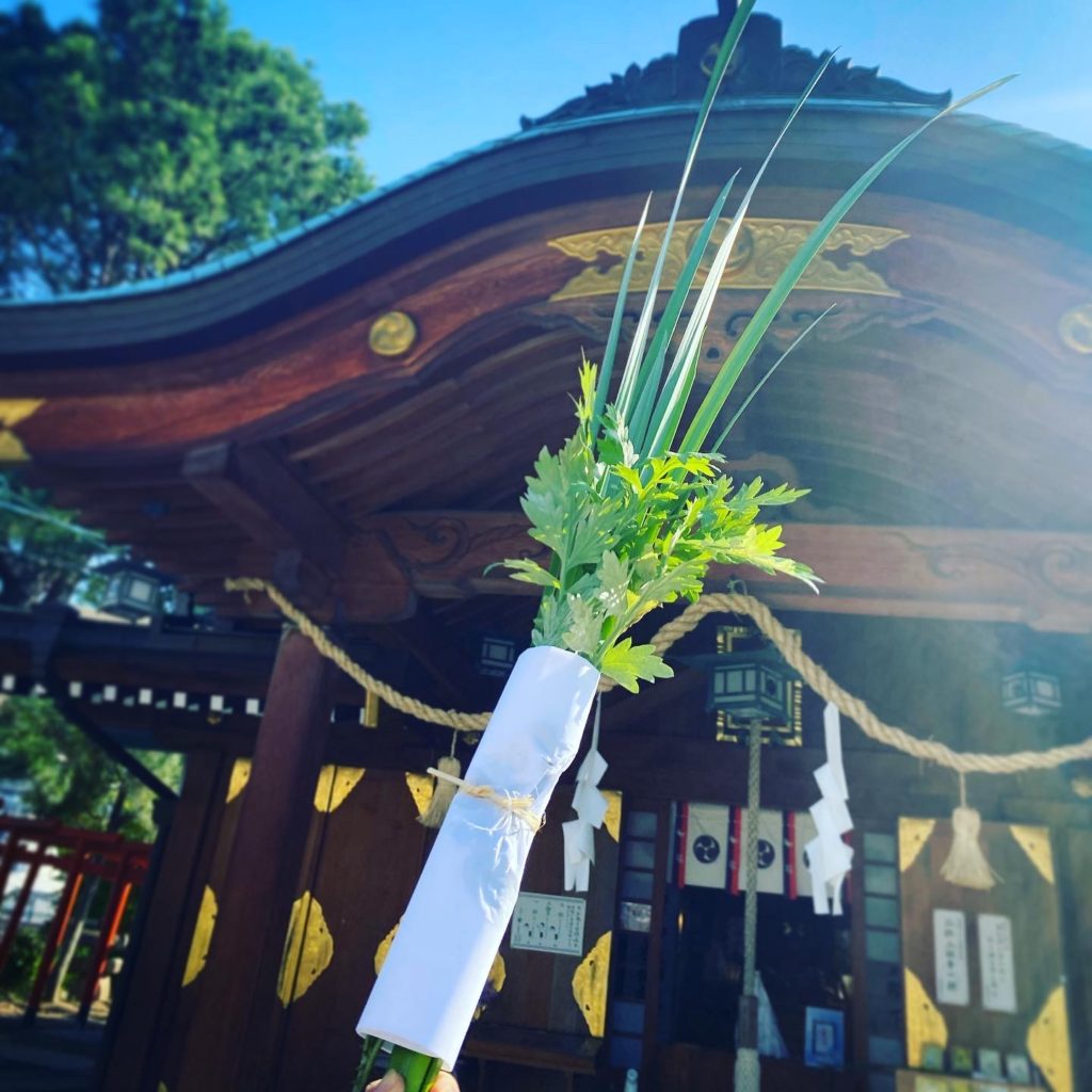 早稲田神社の軒菖蒲